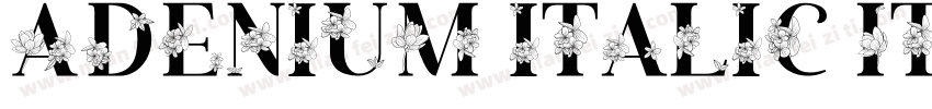 Adenium italic Italic字体转换